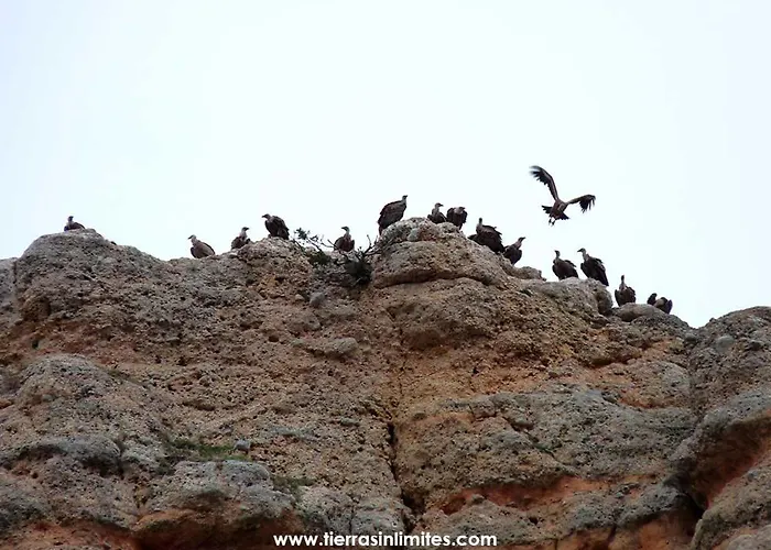 Del Medievo 여관 *